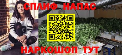 mdpv Кунгур