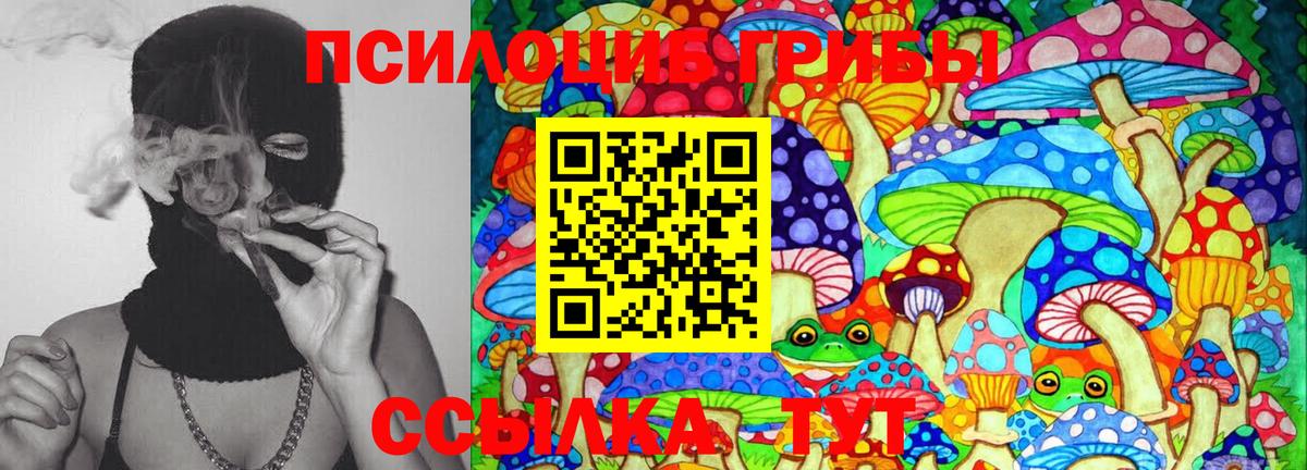Галлюциногенные грибы GOLDEN TEACHER  Вход с VPN  цены наркотик  Чехов 
