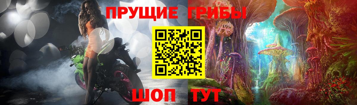 Псилоцибиновые грибы Psilocybine cubensis Чехов